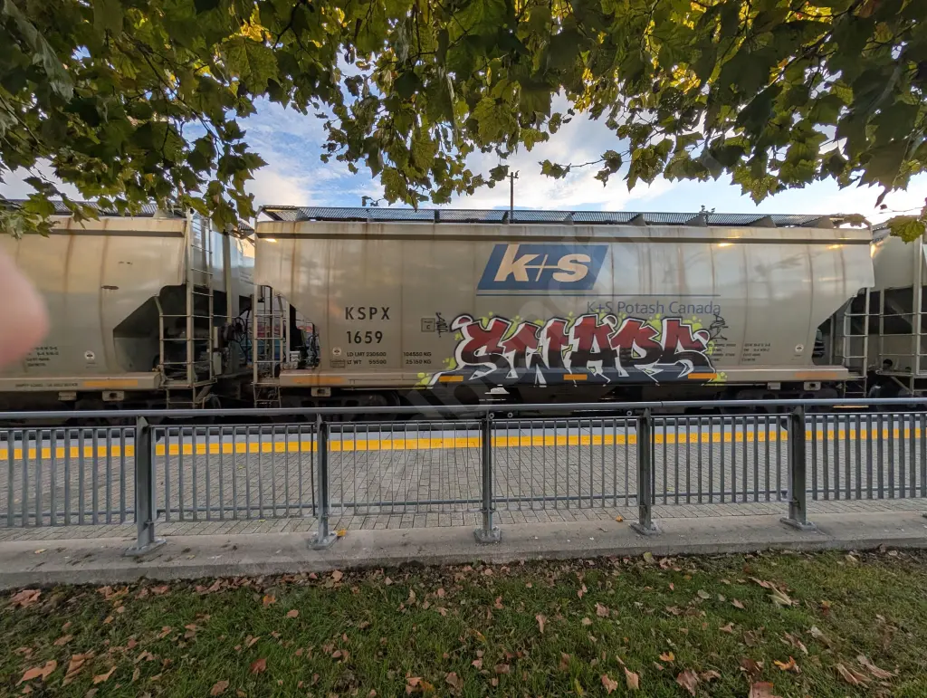 KSPX1659 - NORTH-AMERICA