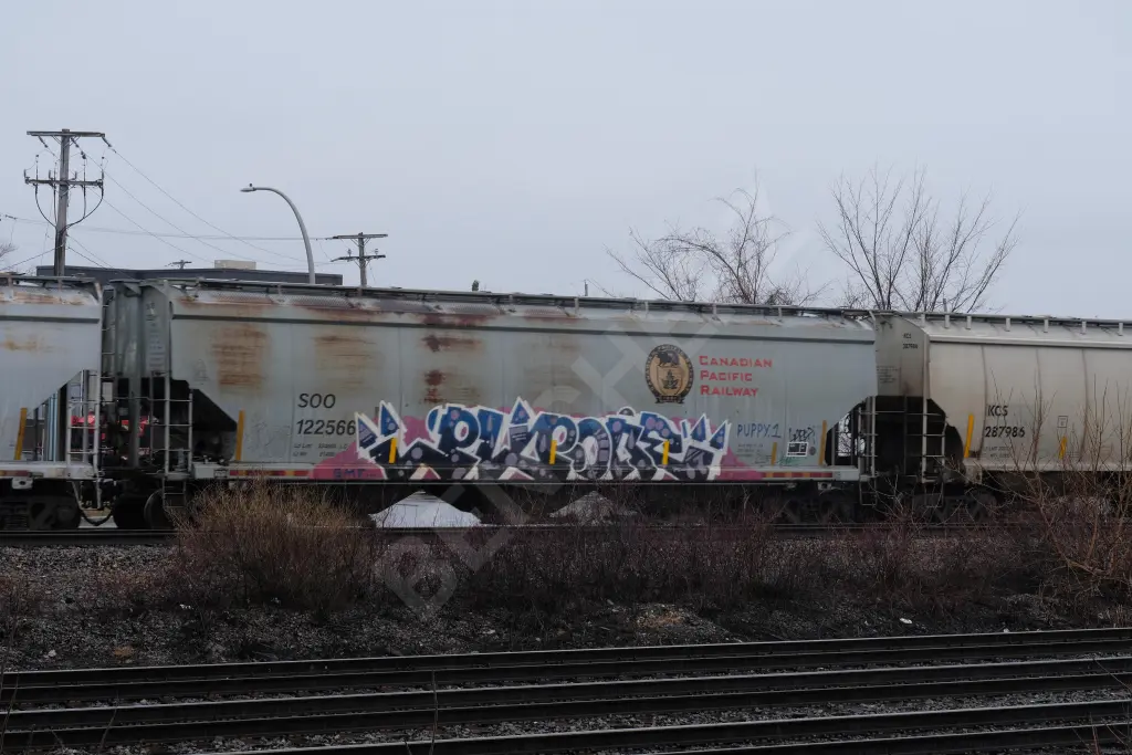 SOO122566 - NORTH-AMERICA