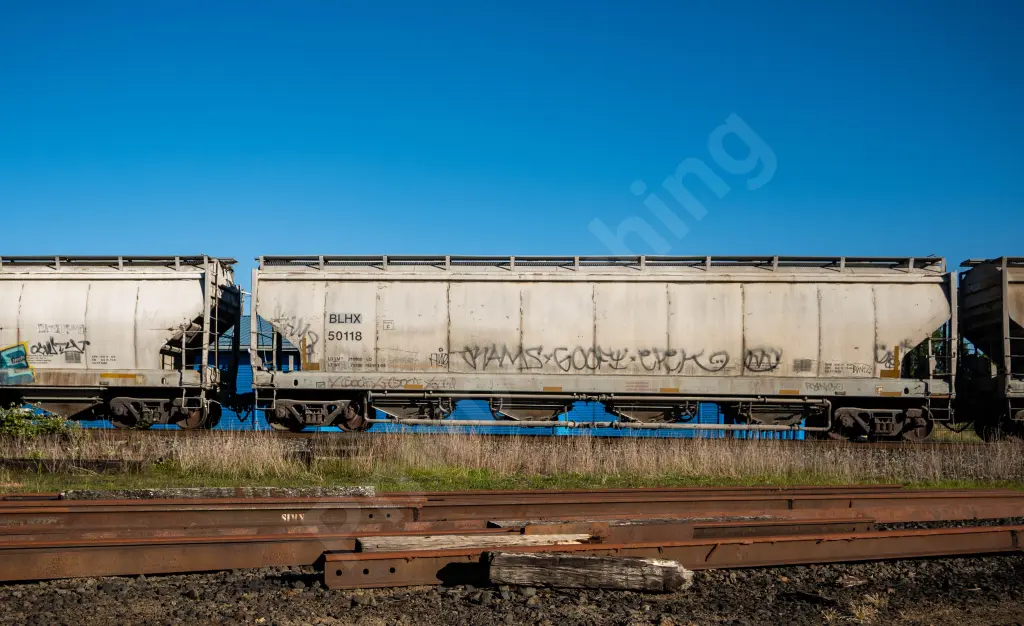 BLHX50118 - NORTH-AMERICA