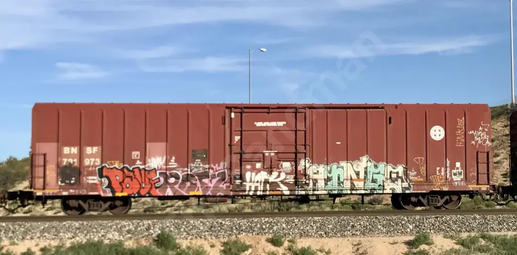 BNSF781973 - NORTH-AMERICA