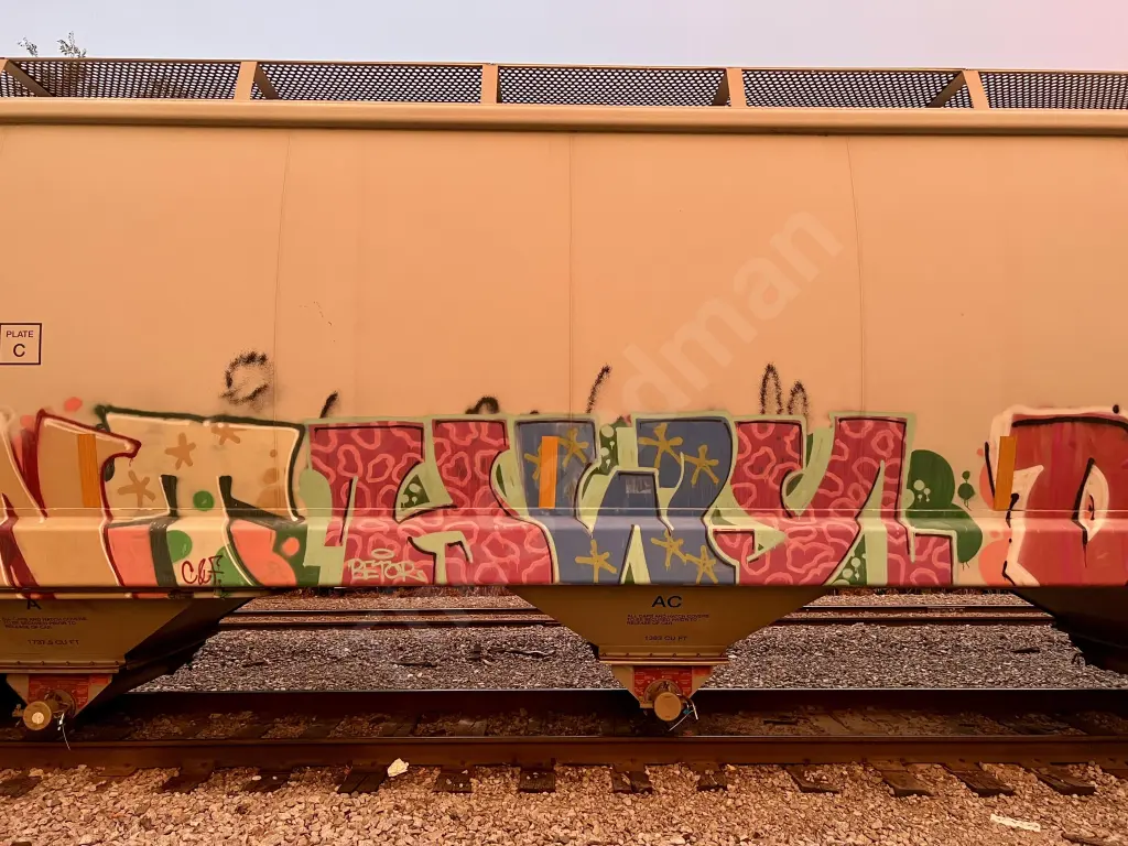 ELTX8031 - NORTH-AMERICA