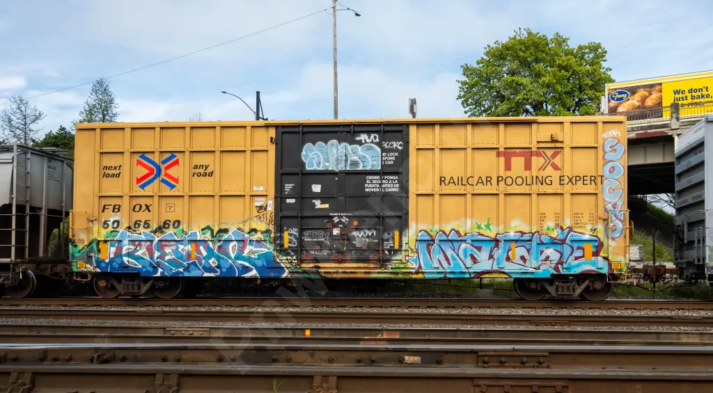 FBOX506560 - NORTH-AMERICA