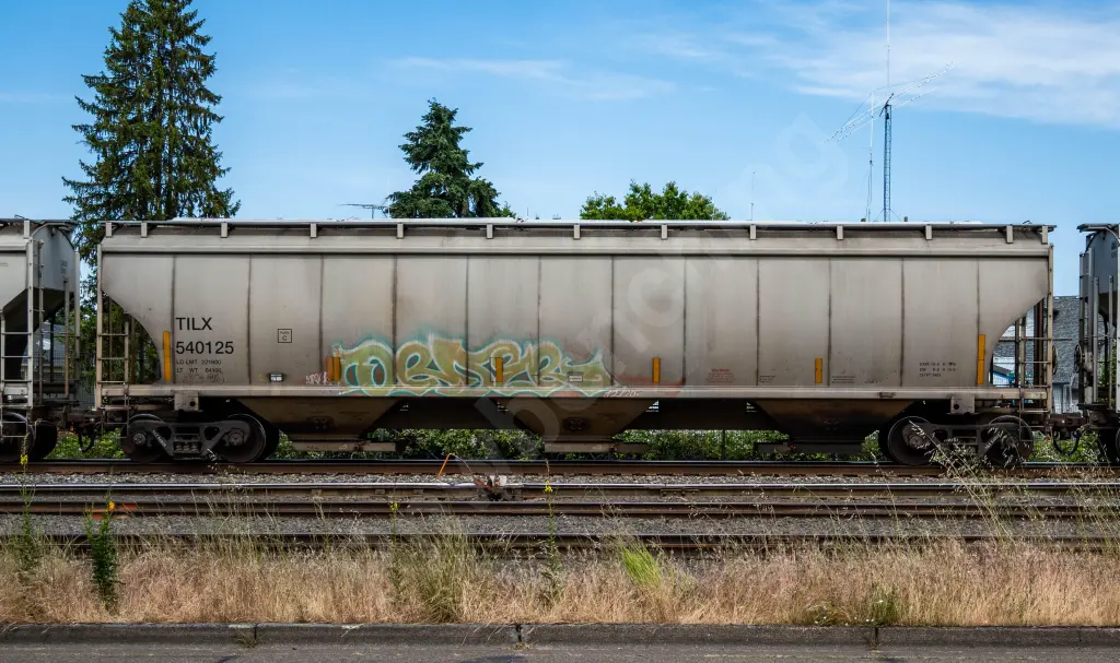 TILX540125 - NORTH-AMERICA