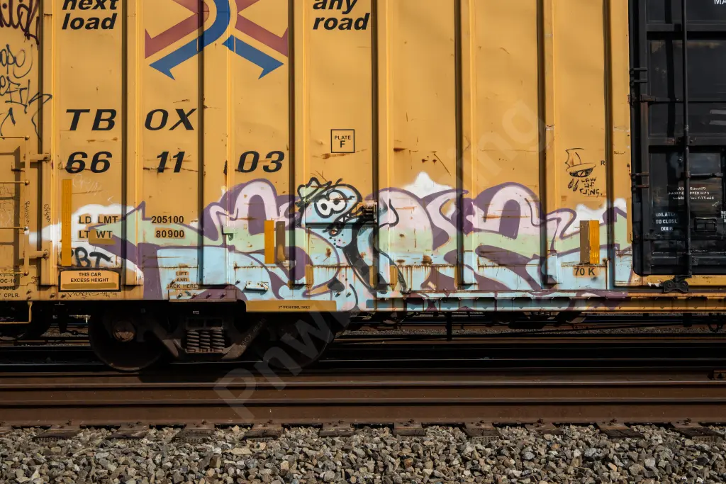 TBOX661103 - NORTH-AMERICA