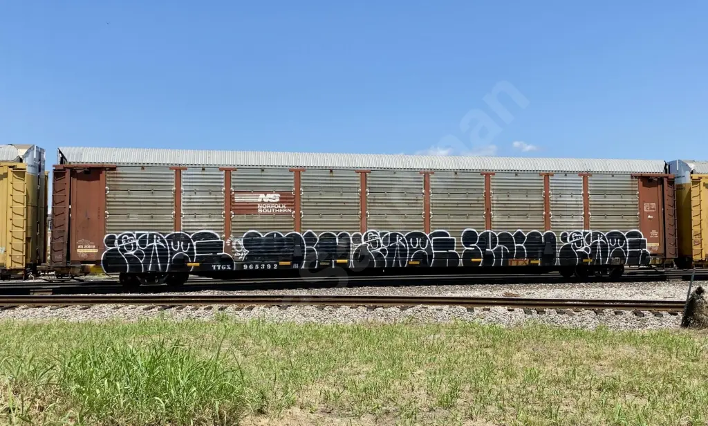 TTGX965392 - NORTH-AMERICA