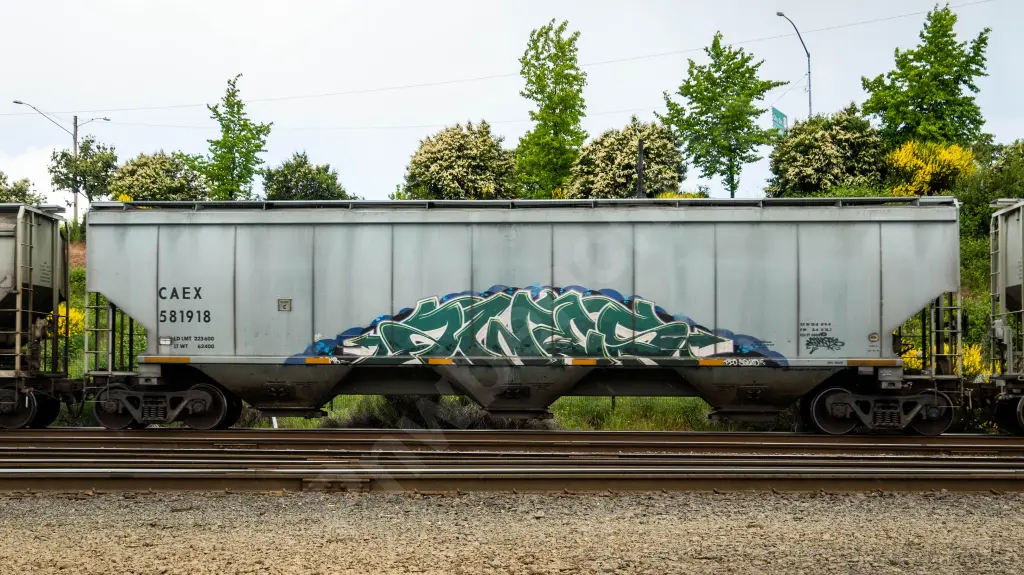 CAEX581918 - NORTH-AMERICA