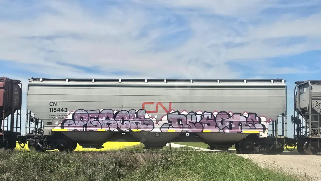 CN115443 - NORTH-AMERICA