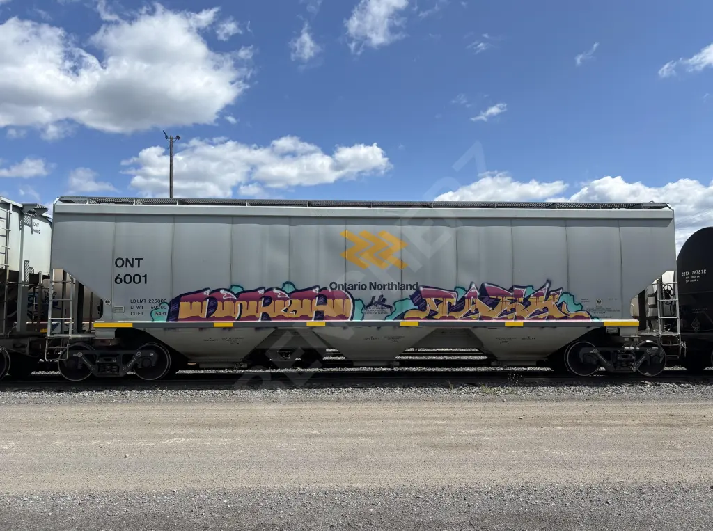 ONT6001 - NORTH-AMERICA