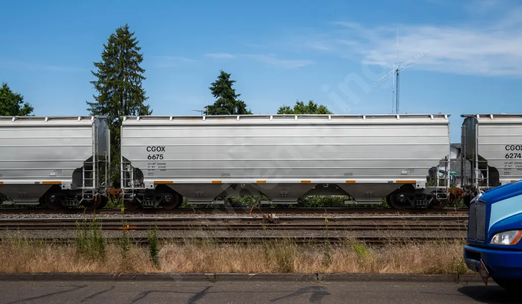 CGOX6675 - NORTH-AMERICA