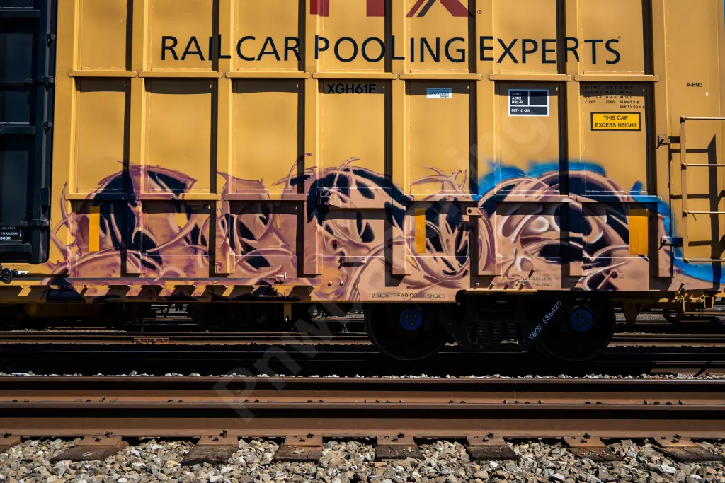 TBOX636420 - NORTH-AMERICA