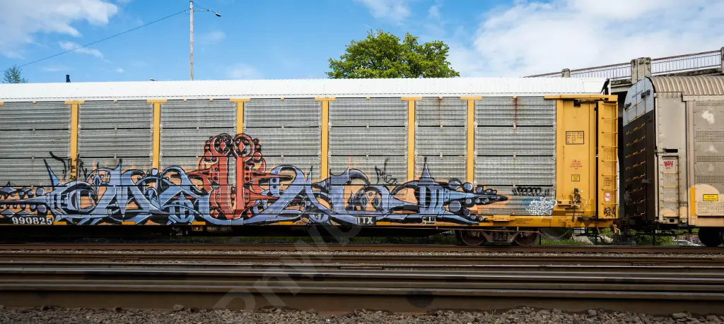 Train photo