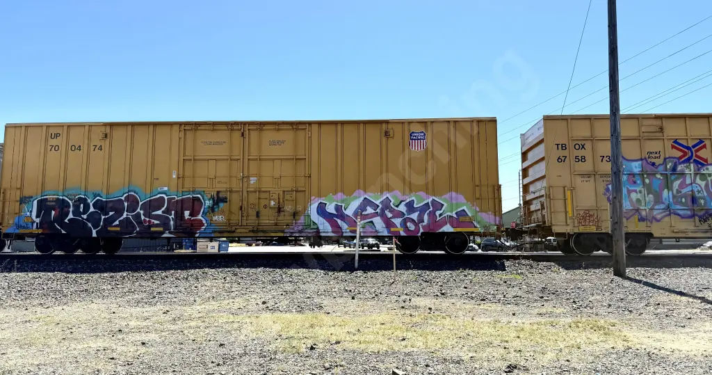 UP700474 - NORTH-AMERICA
