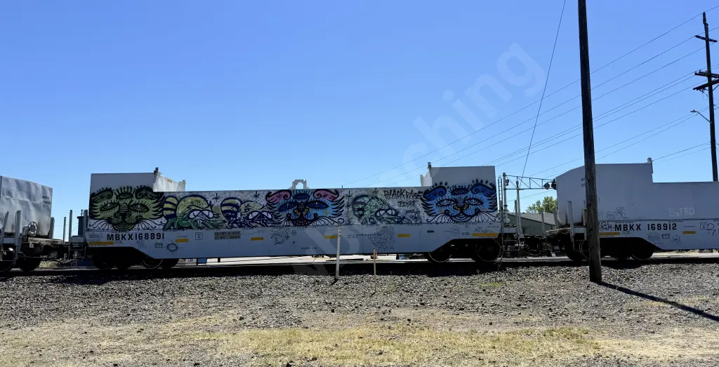 MBKX168891 - NORTH-AMERICA