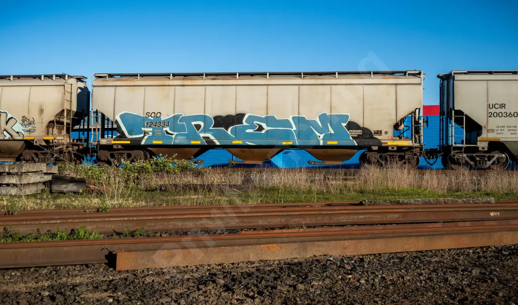SOO124334 - NORTH-AMERICA