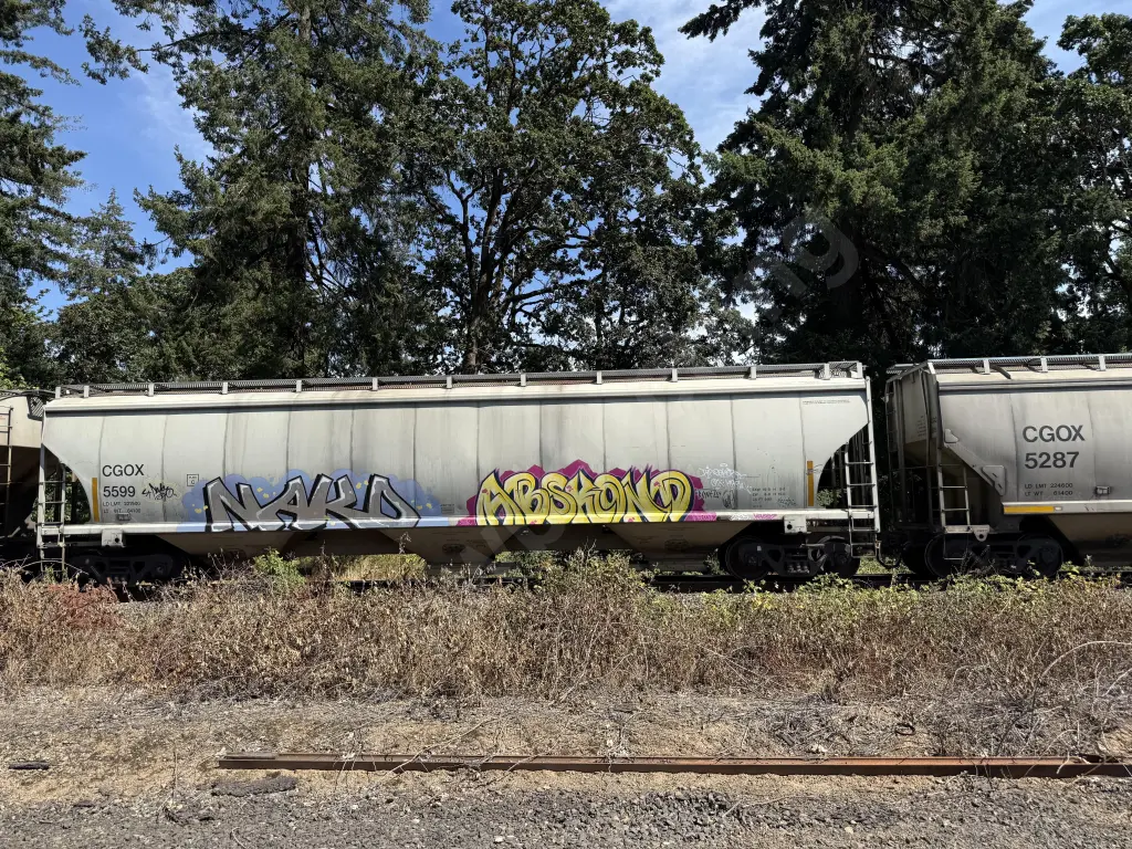CGOX5599 - NORTH-AMERICA