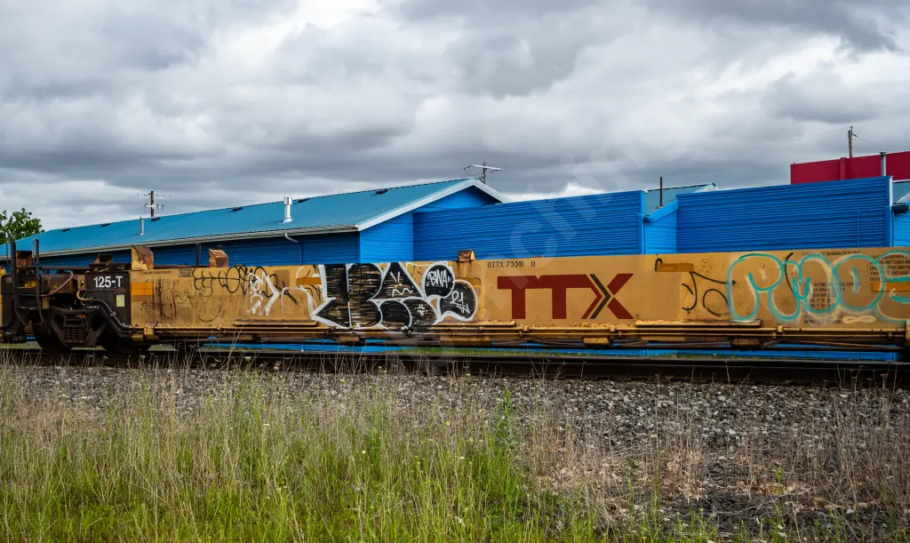 DTTX73311 - NORTH-AMERICA