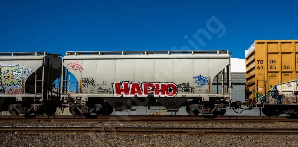 CBFX307175 - NORTH-AMERICA