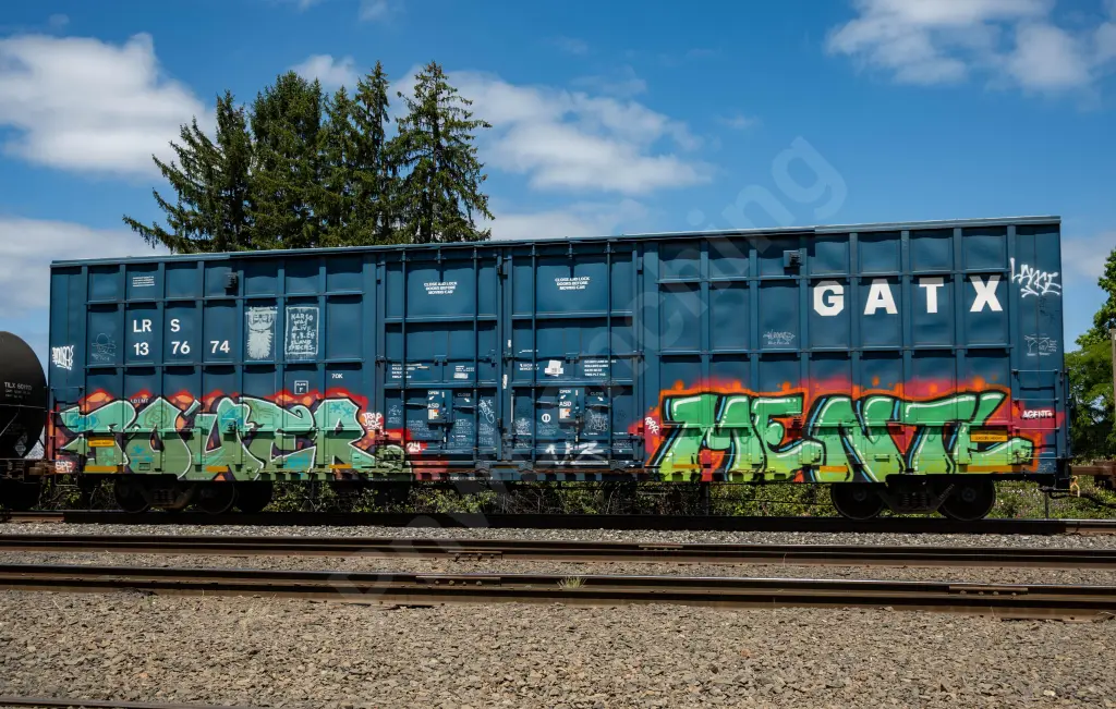 LRS137674 - NORTH-AMERICA