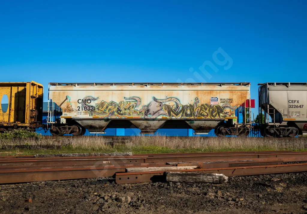 CMO21032 - NORTH-AMERICA