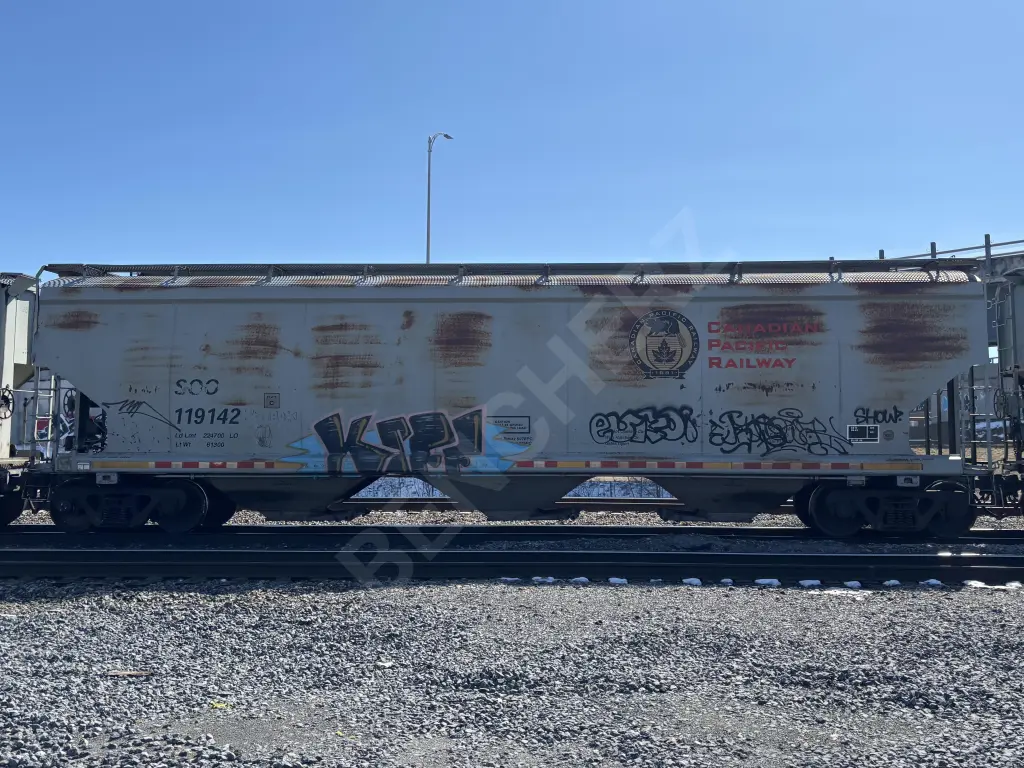 SOO119142 - NORTH-AMERICA
