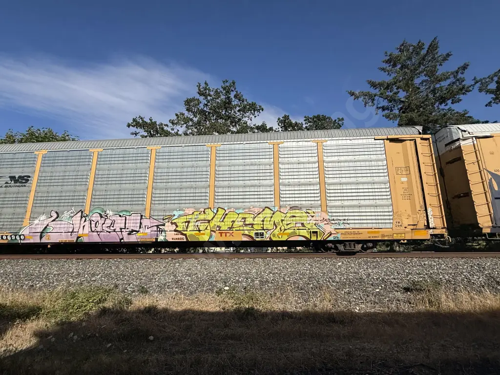 TTGX706960 - NORTH-AMERICA