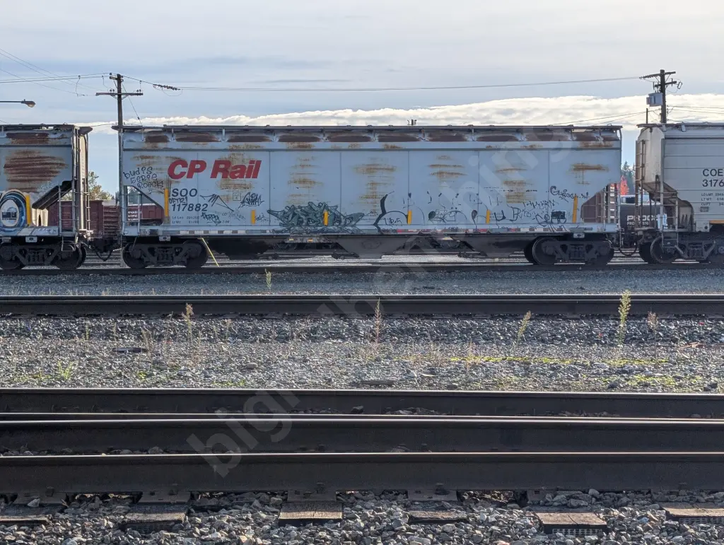 SOO117882 - NORTH-AMERICA