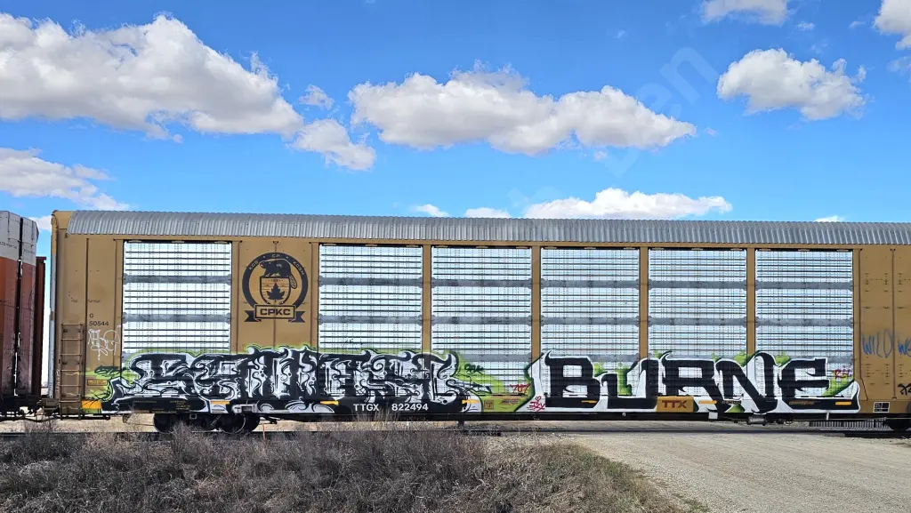 TTGX822494 - NORTH-AMERICA