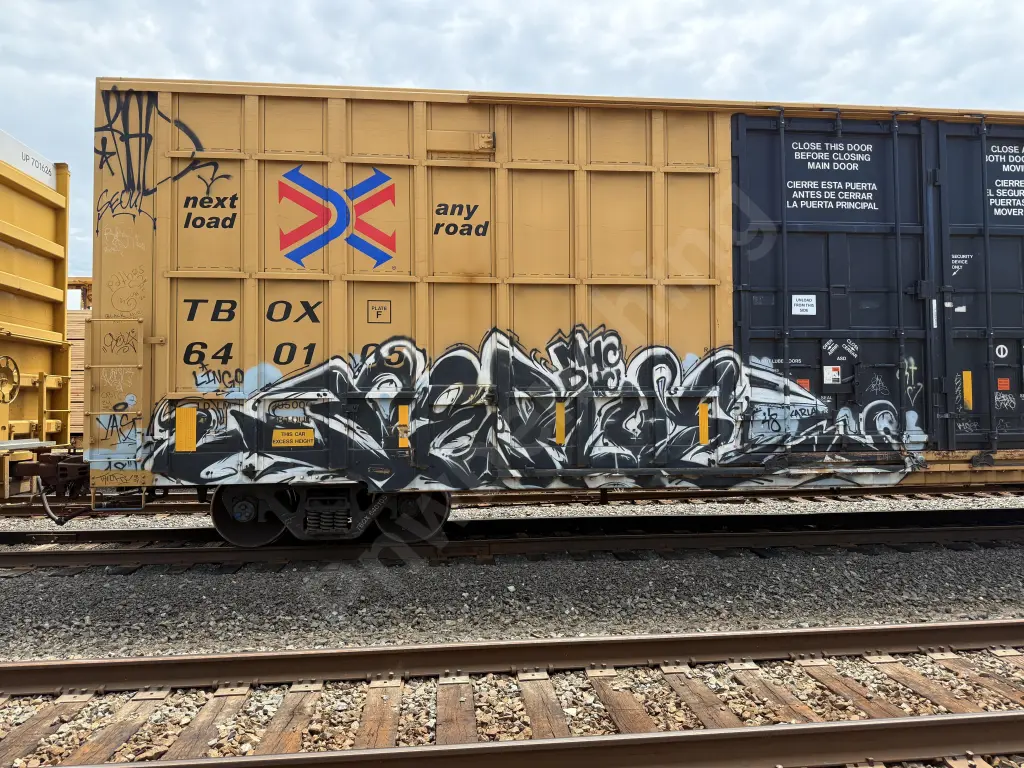 TBOX640105 - NORTH-AMERICA
