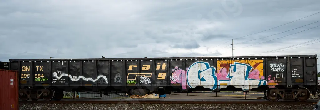 GNTX295584 - NORTH-AMERICA