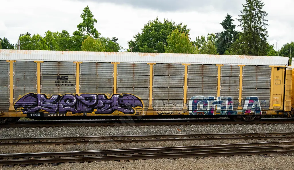 TTGX255181 - NORTH-AMERICA