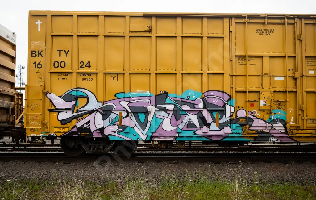 BKTY160024 - NORTH-AMERICA