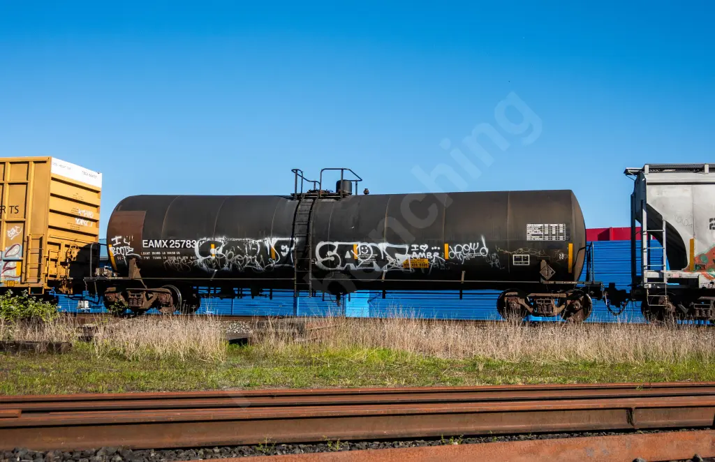 EAMX25783 - NORTH-AMERICA