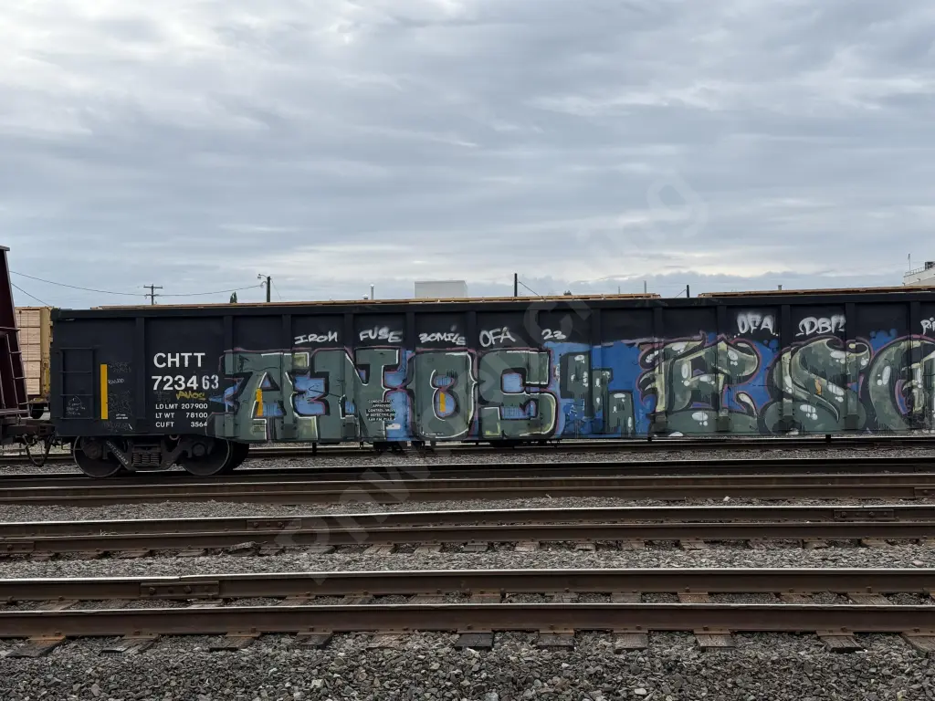 CHTT723463 - NORTH-AMERICA