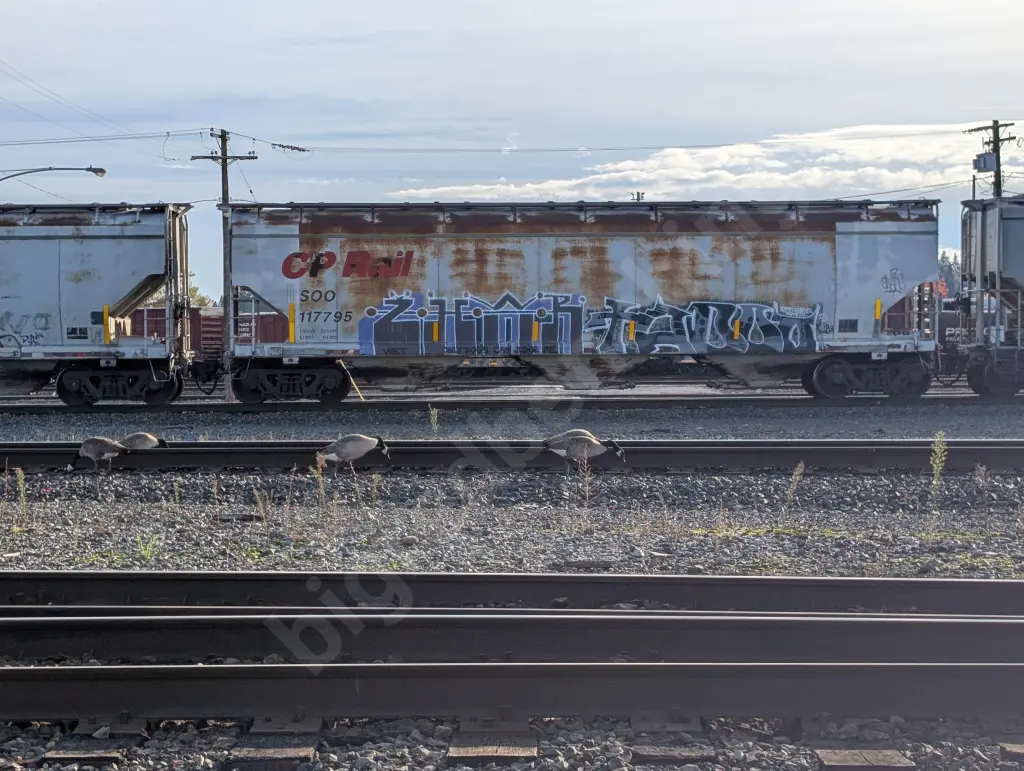 SOO117795 - NORTH-AMERICA