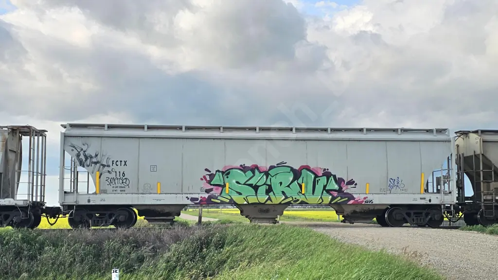 Train photo