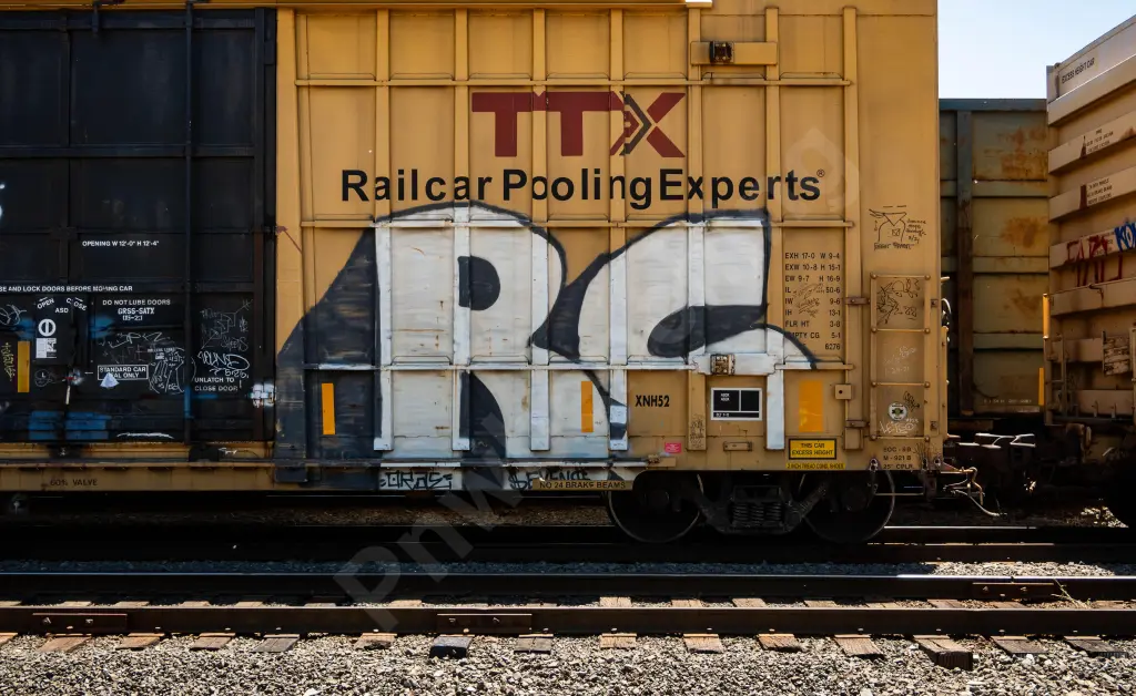 FBOX505855 - NORTH-AMERICA