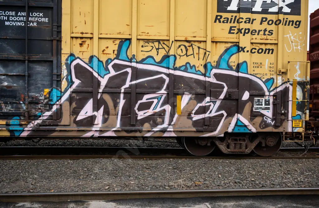 FBOX504999 - NORTH-AMERICA