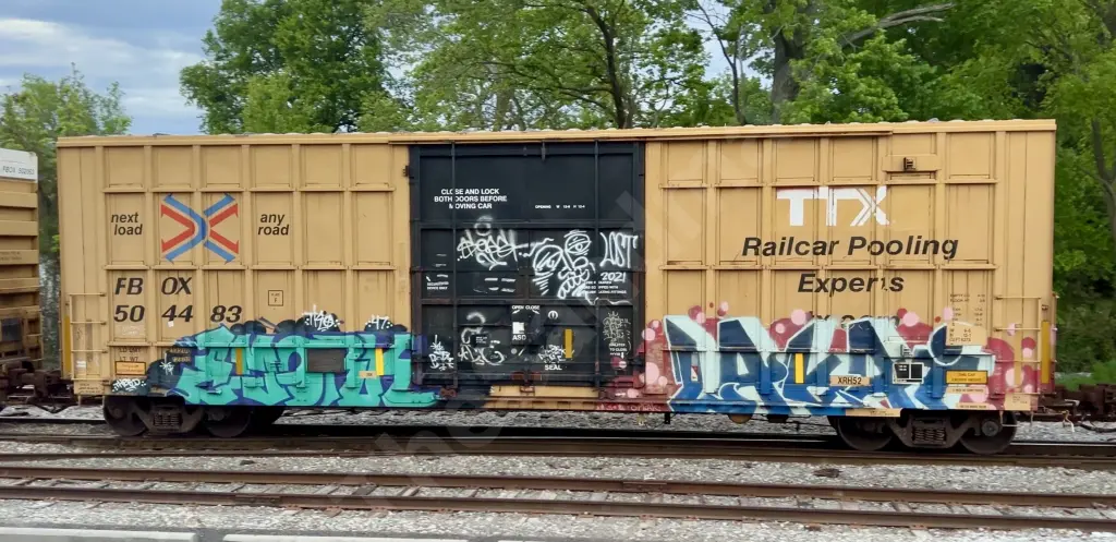 FBOX504483 - NORTH-AMERICA