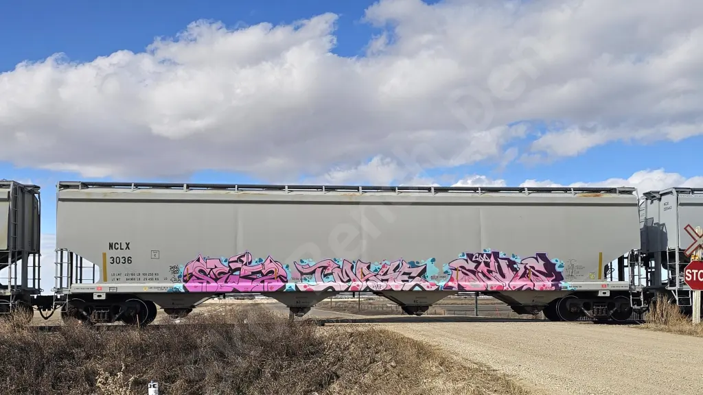 NCLX3036 - NORTH-AMERICA
