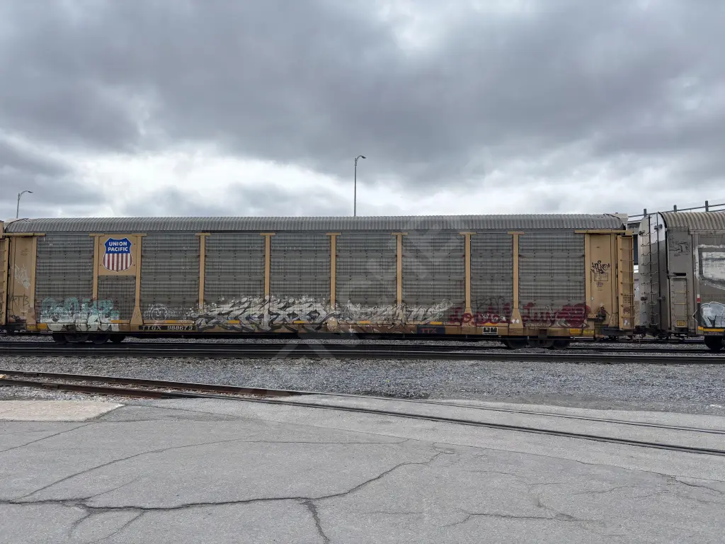 TTGX988673 - NORTH-AMERICA