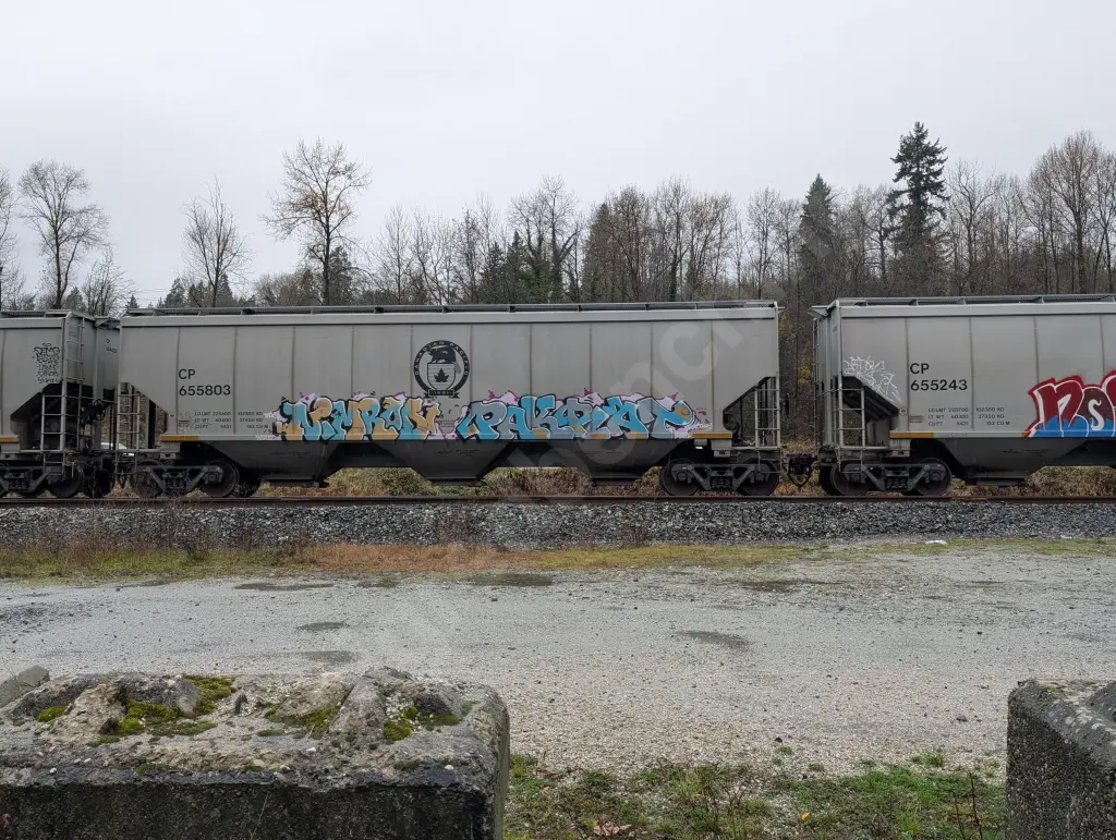 CP655803 - NORTH-AMERICA