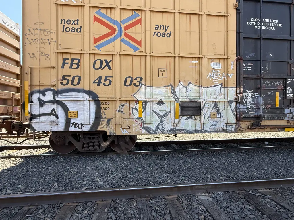 FBOX504503 - NORTH-AMERICA