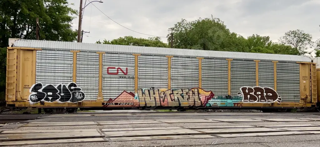 TTGX706286 - NORTH-AMERICA