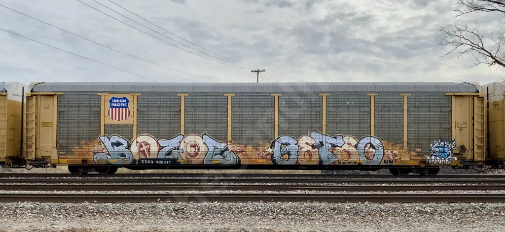 TTGX988517 - NORTH-AMERICA