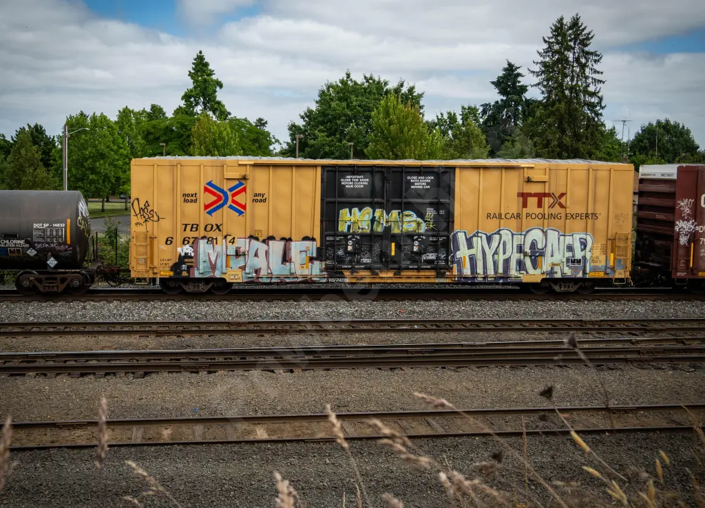 TBOX667814 - NORTH-AMERICA