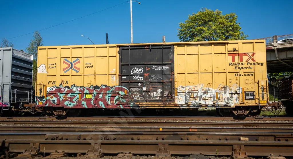 FBOX504838 - NORTH-AMERICA