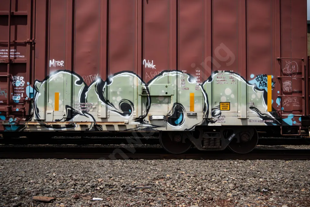 GACX79401 - NORTH-AMERICA