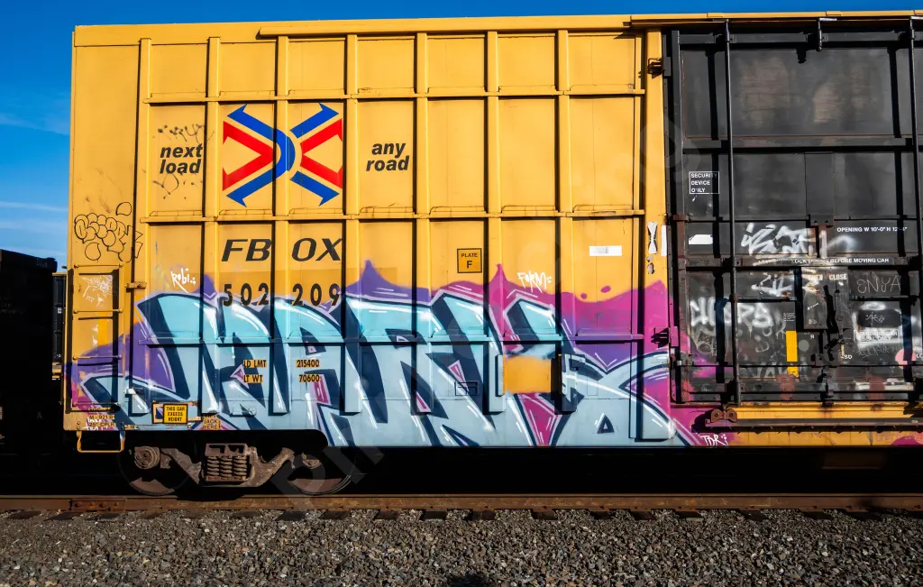 FBOX502209 - NORTH-AMERICA