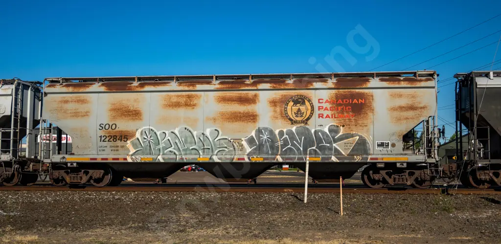 SOO122845 - NORTH-AMERICA