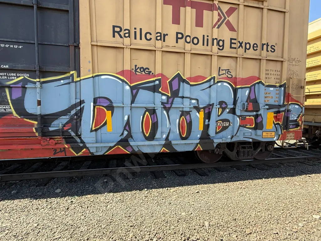FBOX505993 - NORTH-AMERICA